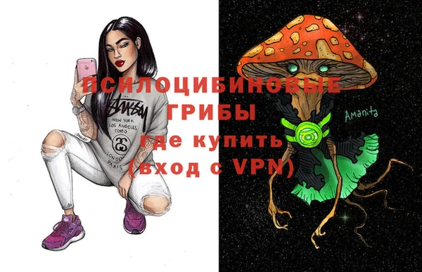 mdpv Арсеньев