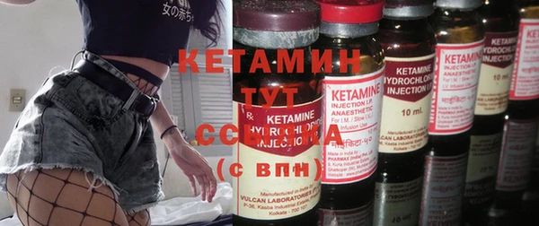стаф Дмитровск