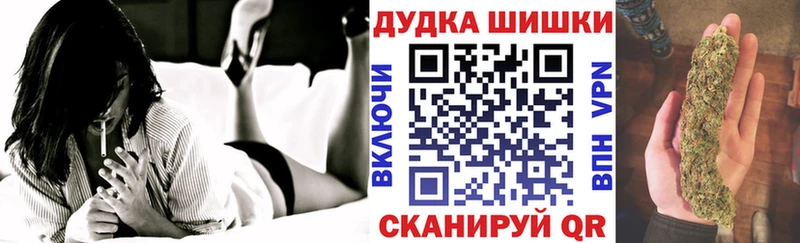 МАРИХУАНА планчик  Дорогобуж 